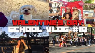 Life Of A Single On Valentines Day In Pup - Randomrams Point Of View - Pupian - School Vlog