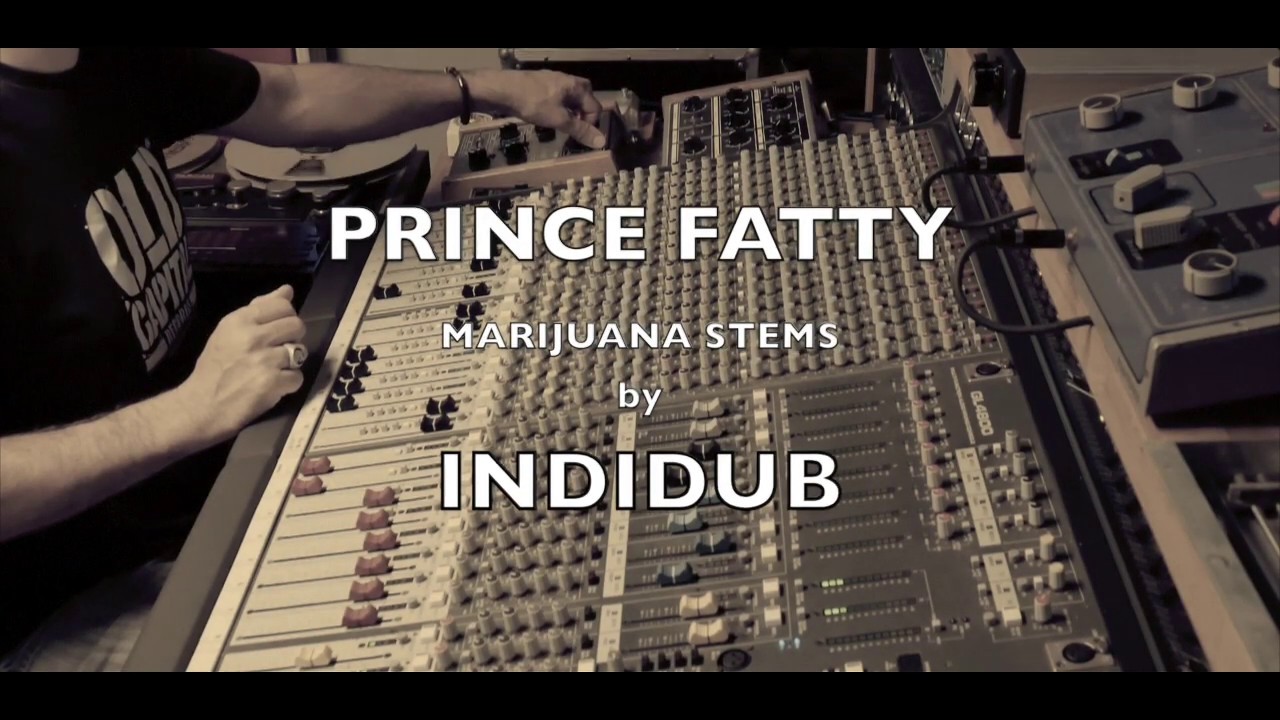 I LOVE MARIJUANA Prince Fatty Stems - live dub mix by INDIDUB
