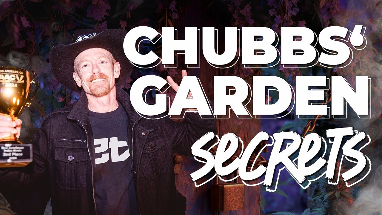 🏡 Home Visit with Chubbs 🌿 – The Autoflower Grow That Keeps Winning Cups 🏆