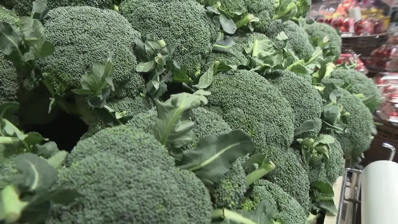 指定野菜」に追加された『ブロッコリー』！ 県内の販売店や生産者を