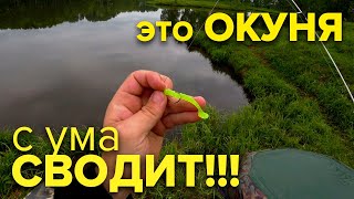 МИКРОДЖИГ РАЗДАЕТ на знакомом ПРУДУ после дождя!  Ловля окуня на микроджиг летом. (рыбалка на окуня)