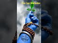 har har Mahadev #8x8