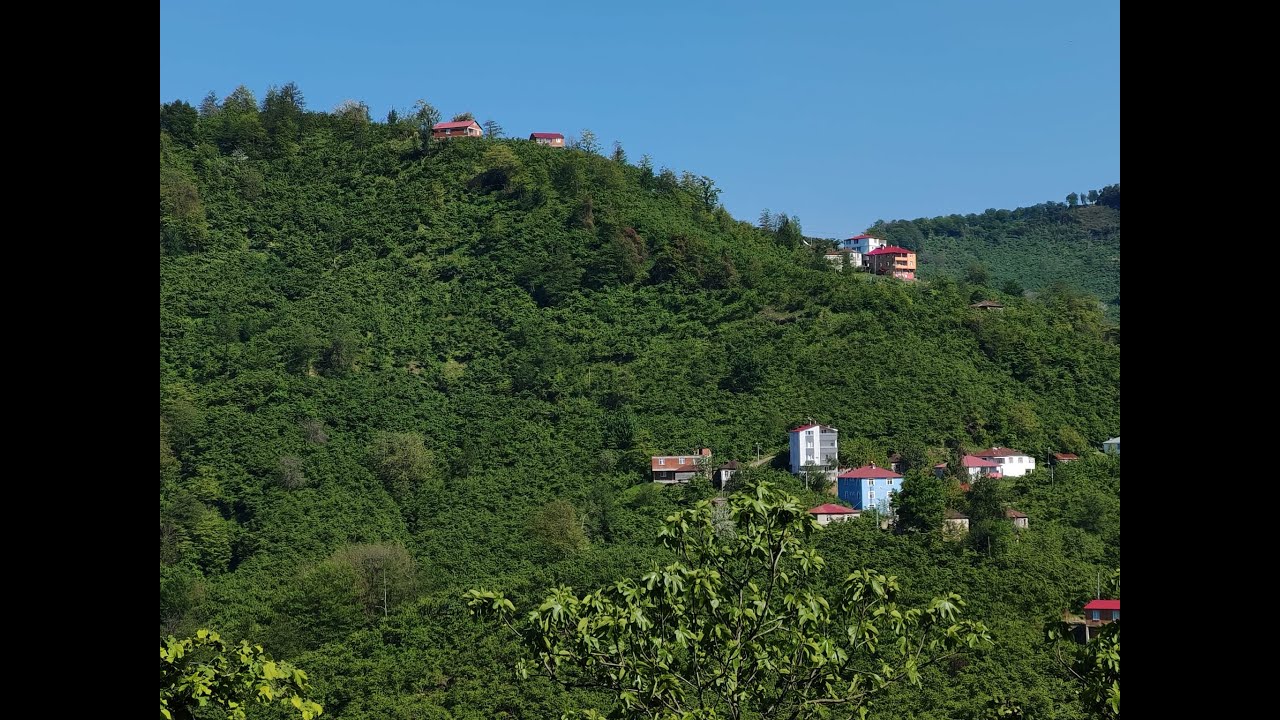GİRESUN/TİREBOLU-KUSKUNLU KÖYÜ