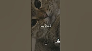 القرآن الكريم راحة البال 🧠