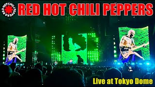 RED HOT CHILI PEPPERS ライブ｜東京ドーム