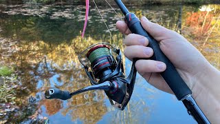 Shimano Vanford/Zodias First Impressions and Fishing 