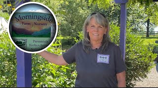 A Lovely Perennial/Pollinator Garden & Local Nursery 🌸🐝🦋// Gardening On Taylor Mountain 👩🏼‍🌾