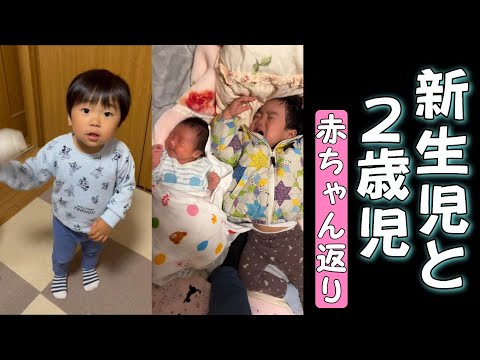 【新生児と２歳児】赤ちゃん返り／２歳２ヶ月