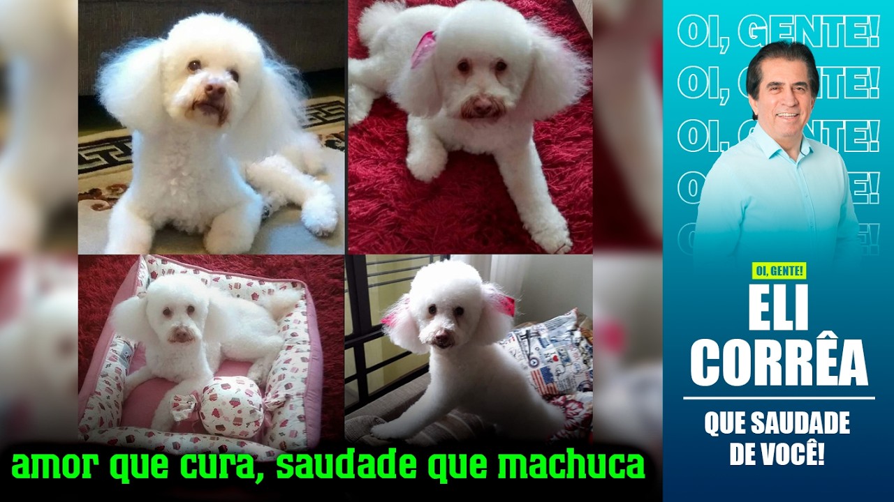 Amor que cura, saudade que machuca | Eli Corrêa Oficial |