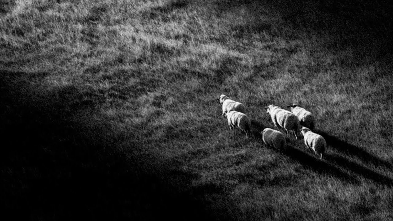 Aable - empirical (Official Audio)