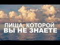 ПИЩА, КОТОРОЙ ВЫ НЕ ЗНАЕТЕ  - Вячеслав Бойнецкий