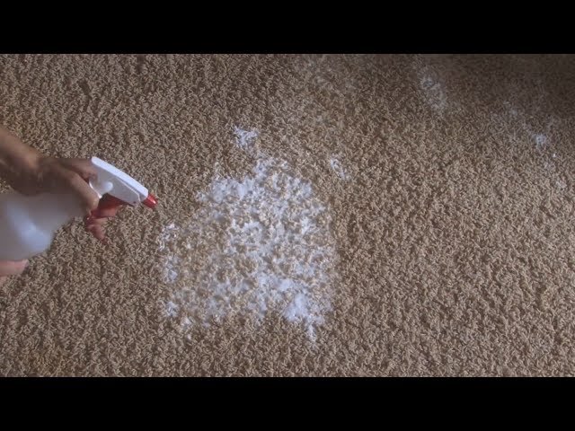 Fix This: Homemade natural carpet cleaning solutions