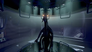 The Long Awaited Assistant (X4 Foundations)