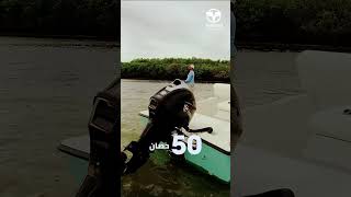 Meet the Tohatsu MFS50 - 50 HP