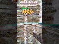 కేవలం ₹90 కే వడ్డాణాలు Begum Bazar Wholesale Video Call Orders Available HyderabadShopping