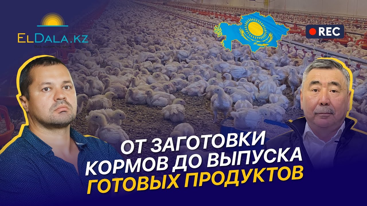 Вертикальная интеграция в птицеводстве: Жайык Ет. Эффективность и рентабельность переработки в АПК