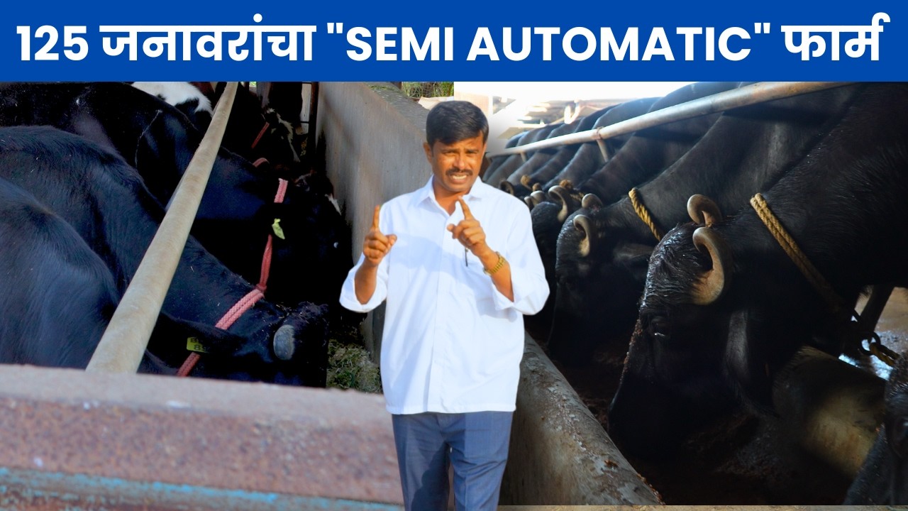 १२५ जनावरांचा 