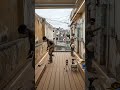 Transformé esta terraza abandonada en un rooftop de lujo con IA 🤯 (antes y después)