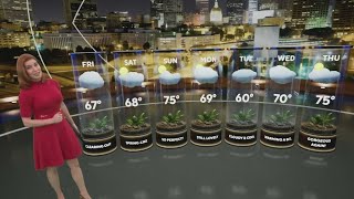 Heavy rain, thunderstorms, and mild temps Profile
