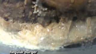 Super Size Me: The Smoking Fry