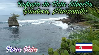Refugio Nacional Gandoca  Manzanillo 🇨🇷🌴🐒🌊¿La playa mas linda de Costa Rica?