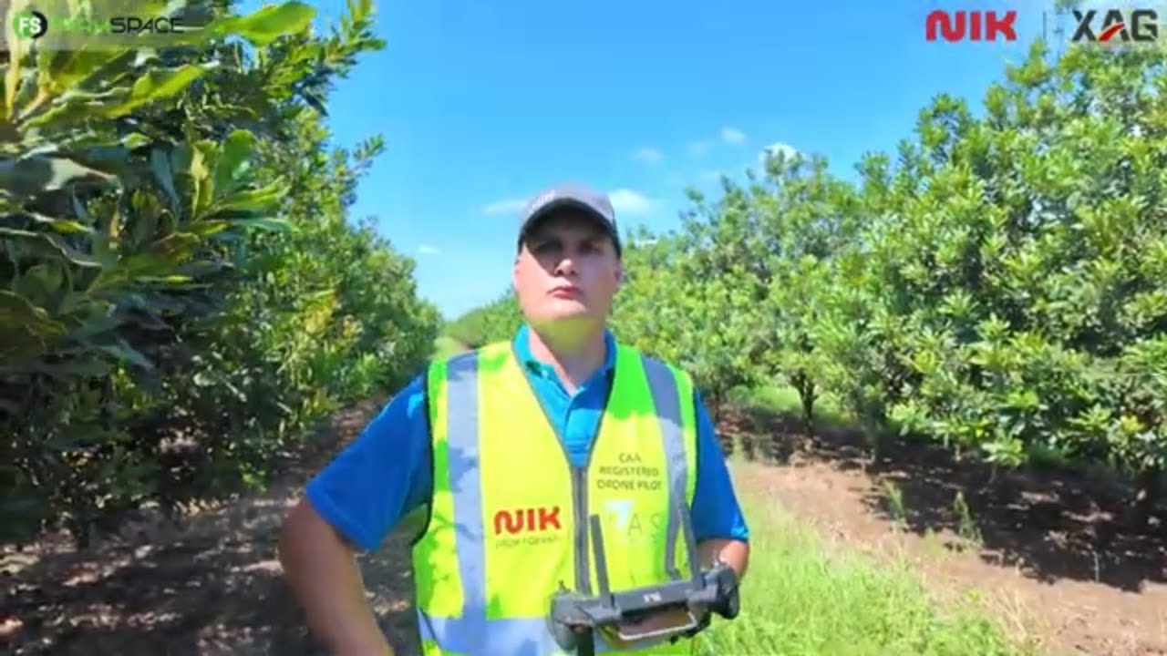 Kan die XAG P150 MAX drone makadamias penetreer?