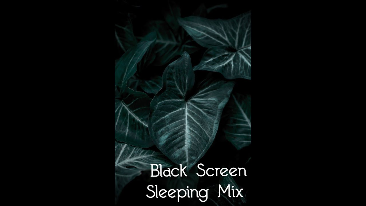 Herbert Marcuse Interview about One Dimensional Man 1964. Black Screen