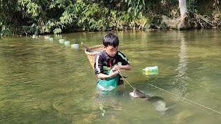 FULL VIDEO: 30 days, the orphan boy khai harvested honey and set traps to catch fish to sell.