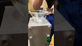 Ocellated Carpet Viper Venom Extractions