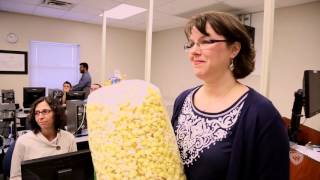 Faculty Pop-In: Dr. Kimberly Webb
