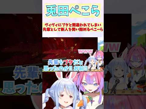 ヴィヴィにブタと間違われてしまい先輩として新人を問い詰めるぺこーら #shorts  #ホロライブ #切り抜き #vtuber #綺々羅々ヴィヴィ #兎田ぺこら #ホロ切り抜き