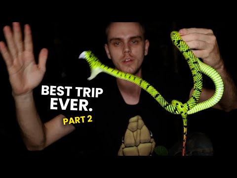 Best herping trip ever. HUGE Sumatran Pit Viper!!!