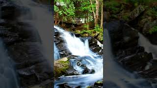 Murottal Al Quran  Surah Al Furqan ayat 74