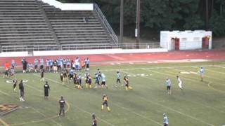 Gavin Robertson 2011 Football Highlights.avi
