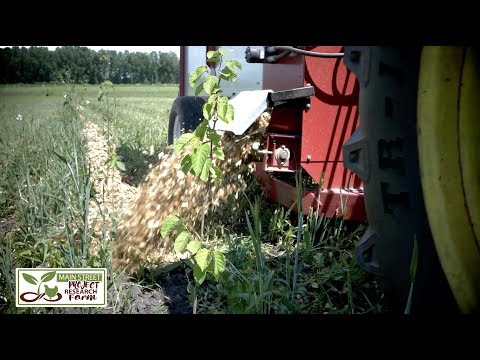 Row Mulching Agroforestry Farm | Sharing Our Roots Research Farm