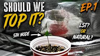 The Community Grow — Episode 1 (Day 6)