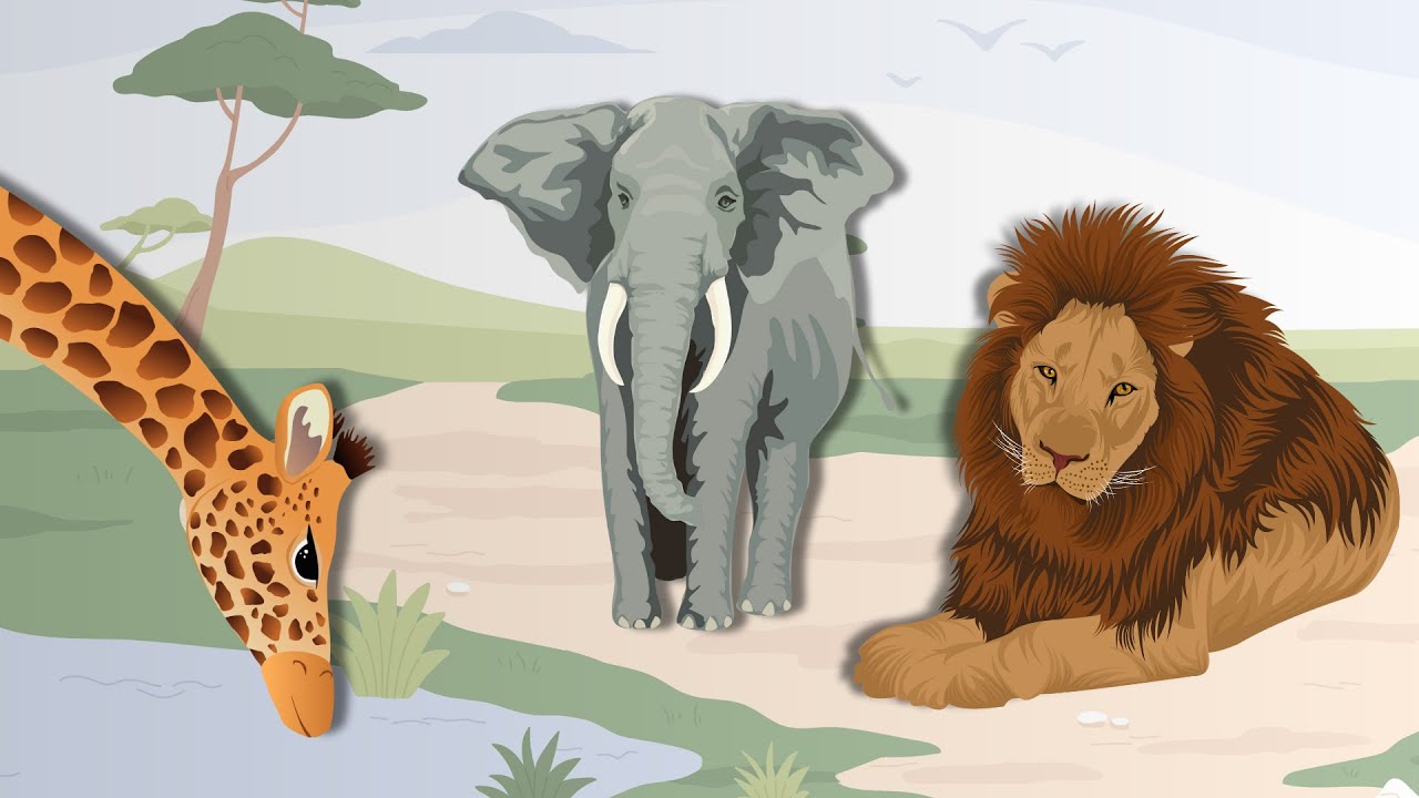 Popeline Animali della Savana da Colorare