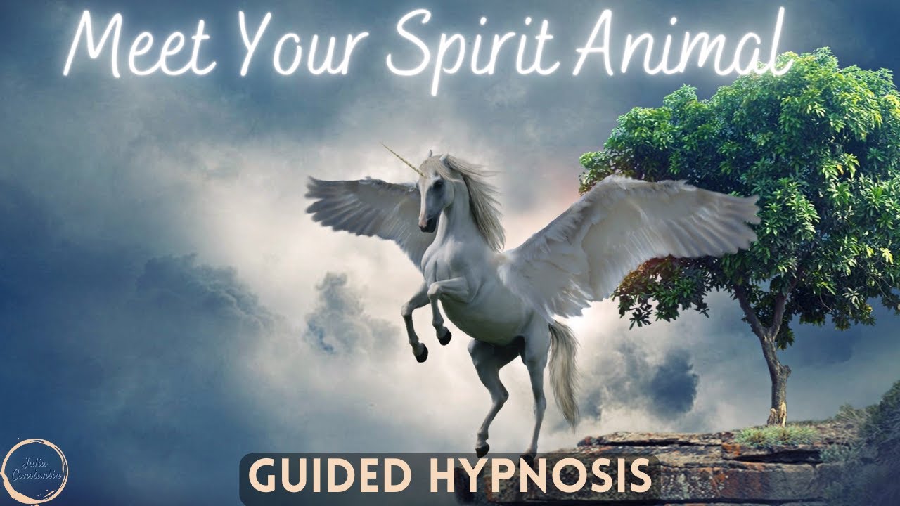find-out-what-your-spirit-animal-is-and-how-to-connect-with-them