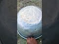 Catch big frogs funny | Try don't laugh | we..