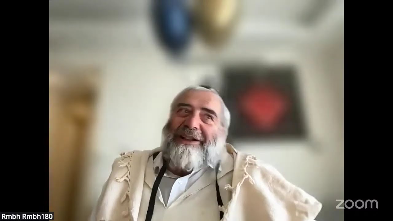 Daf HaYomi - Zevahim 85