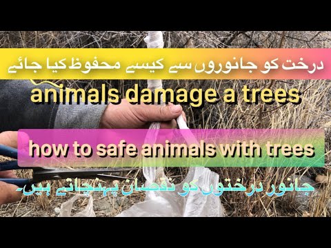 #mountains #villagelife #nature #work #natural