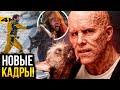 Сливы Дэдпула 3 и другие новости Marvel!