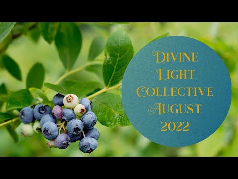Divine Light Collective August 2022
