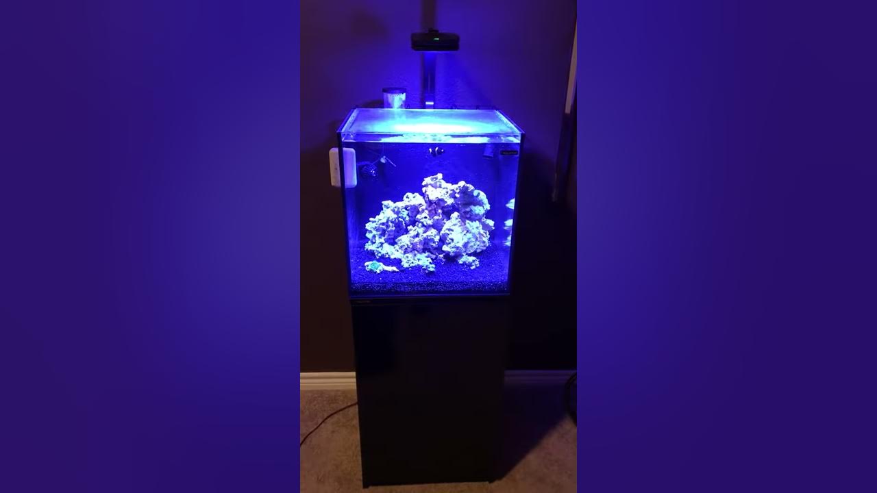 Aquatop 24 gallon nano tank w/stand & w/AI Prime HD(just starting up