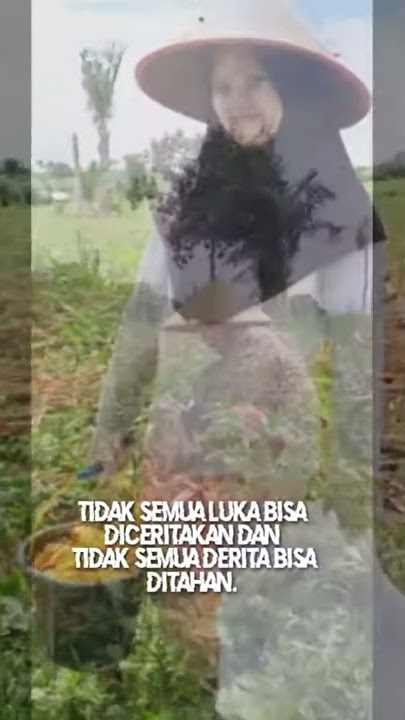 Status WA tersedih yg bikin kangen pulang kampung