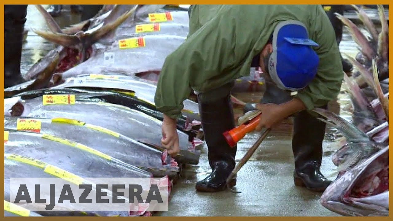 🇯🇵سوق تسوكيجي، سوق السمك الشهير في طوكيو، يُغلق أبوابه بعد 83 عامًا | الجزيرة الإنجليزية