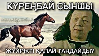 ЖҮЙРІК ЖЫЛҚЫНЫ ҚАЛАЙ ТАҢДАЙМЫЗ❔- Аттың сыны: Күреңбай сыншы❗