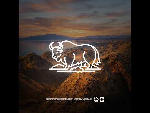 HEDEGAARD – Dust 2 Dust (Official Music Video) | Western China's Melody