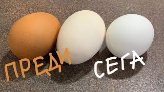 Как да избелим яйцата за Великден и лесен начин за ефектно боядисване / Отбеливаем яйца и окрашиваем
