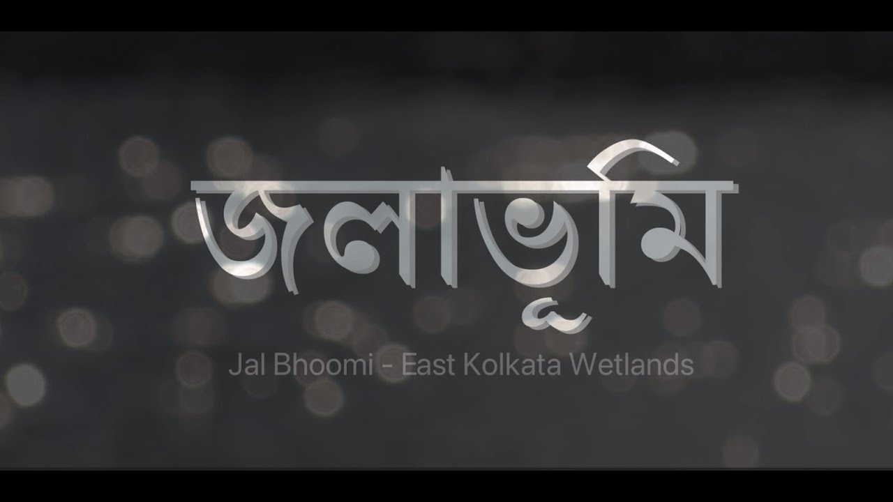Jal Bhumi - East Kolkata Wetlands